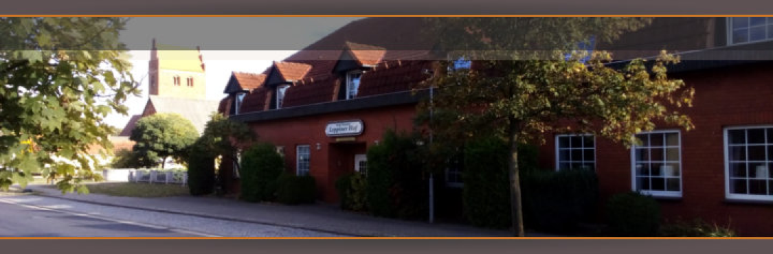 Hotel Leppiner Hof title image