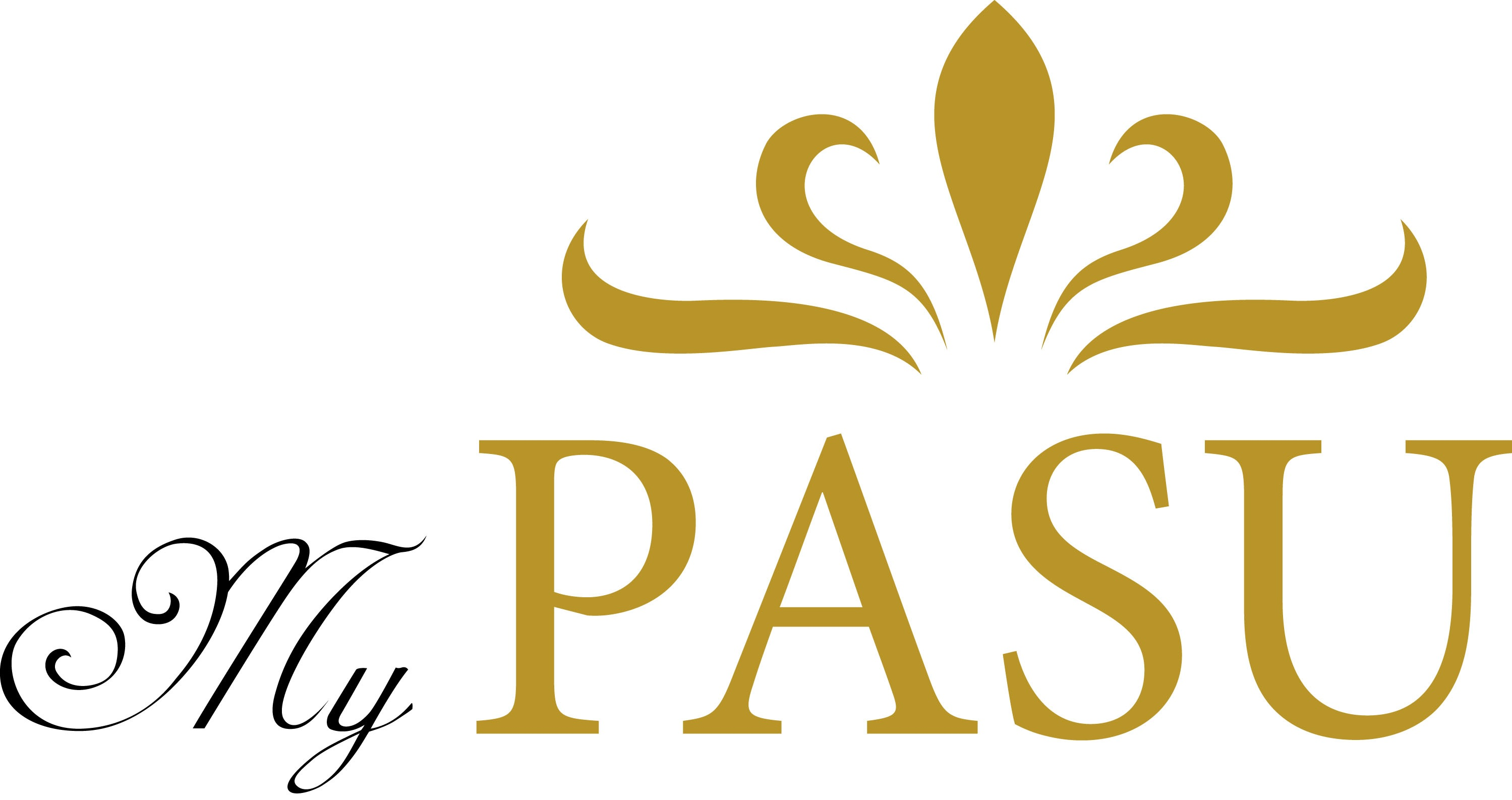 My PA.SU. Handelshaus