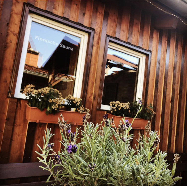 Wellness Sauna Gifhorn title image