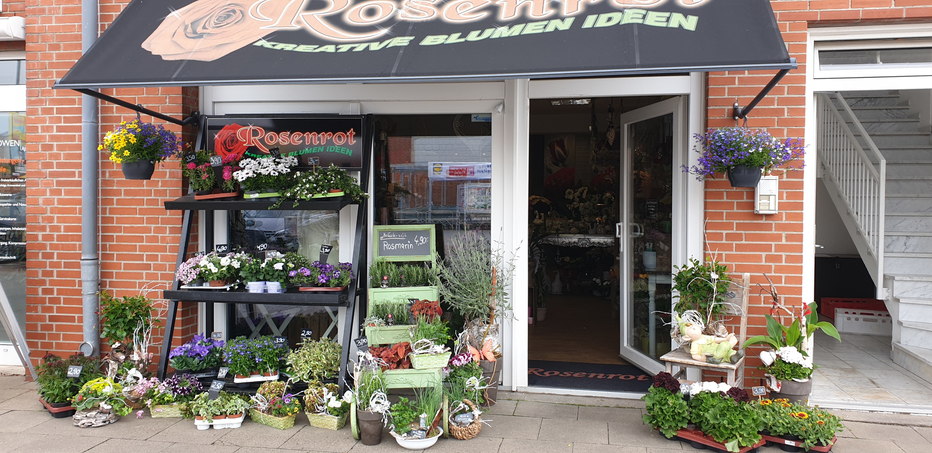 Rosenrot kreative Blumen