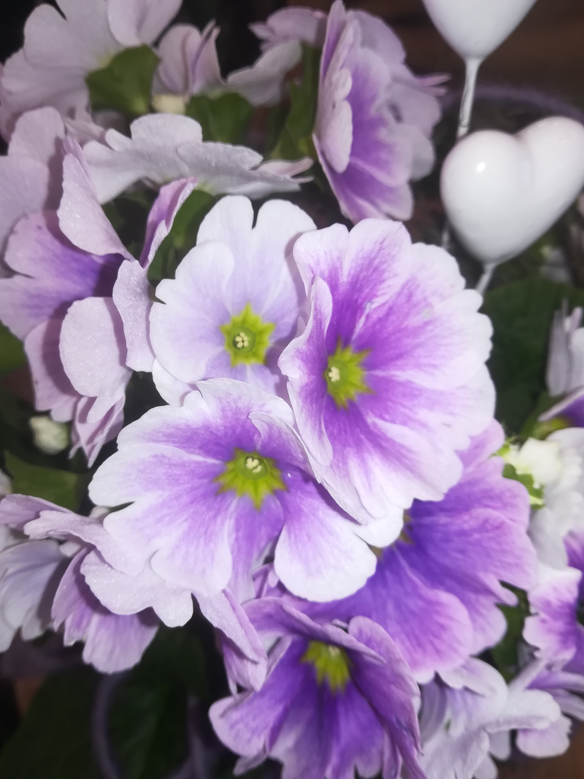 La Fleur Floristikfachgeschäft