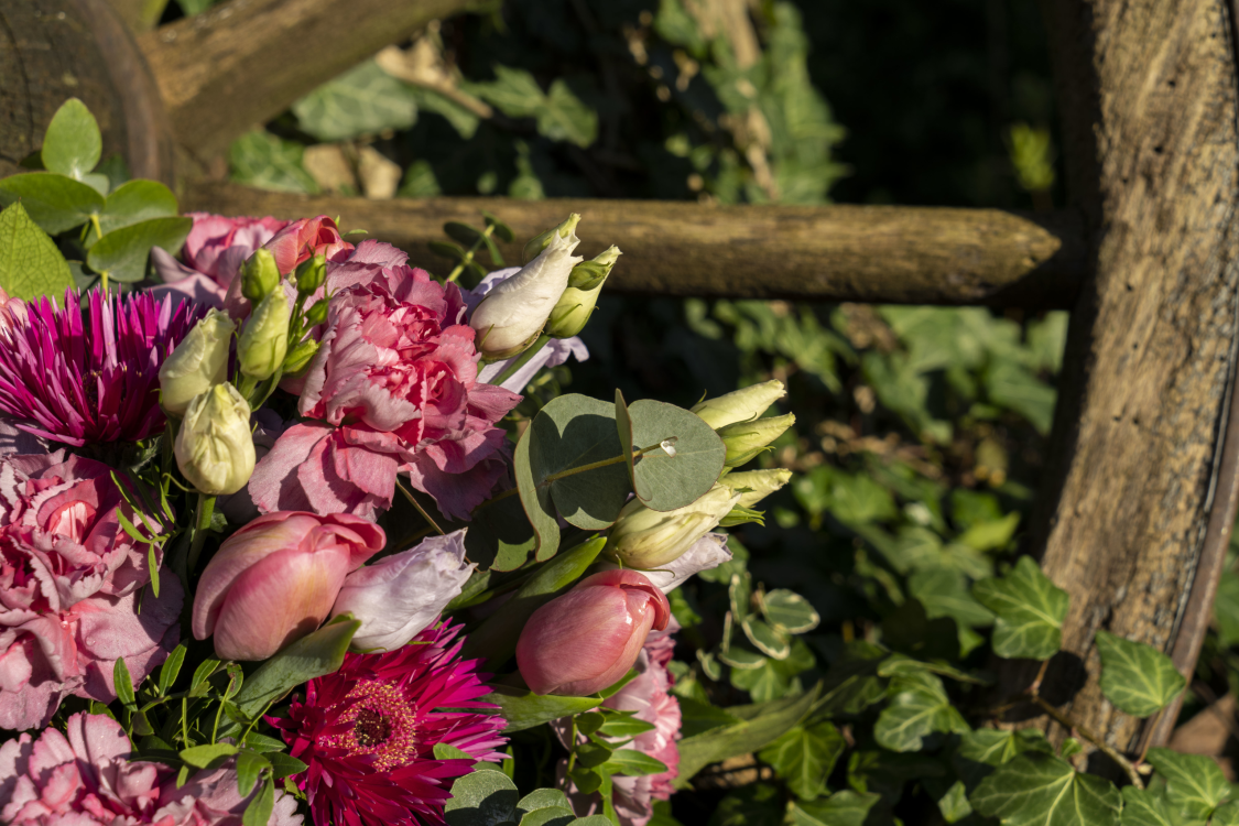 Küskens blumen und mehr title image