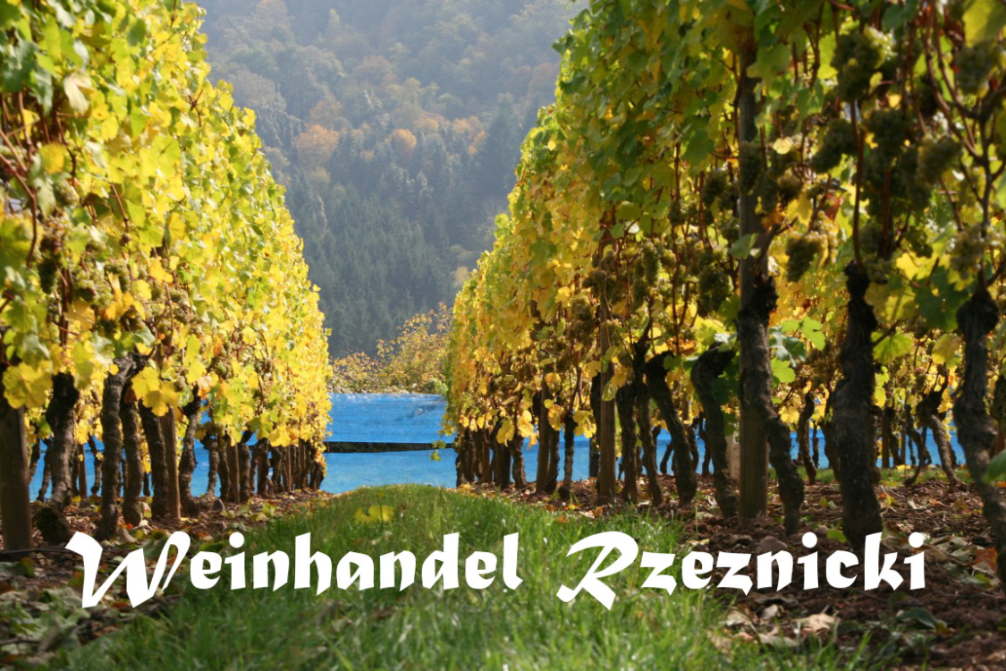 Weinhandel und Weinproben Rzeznicki title image