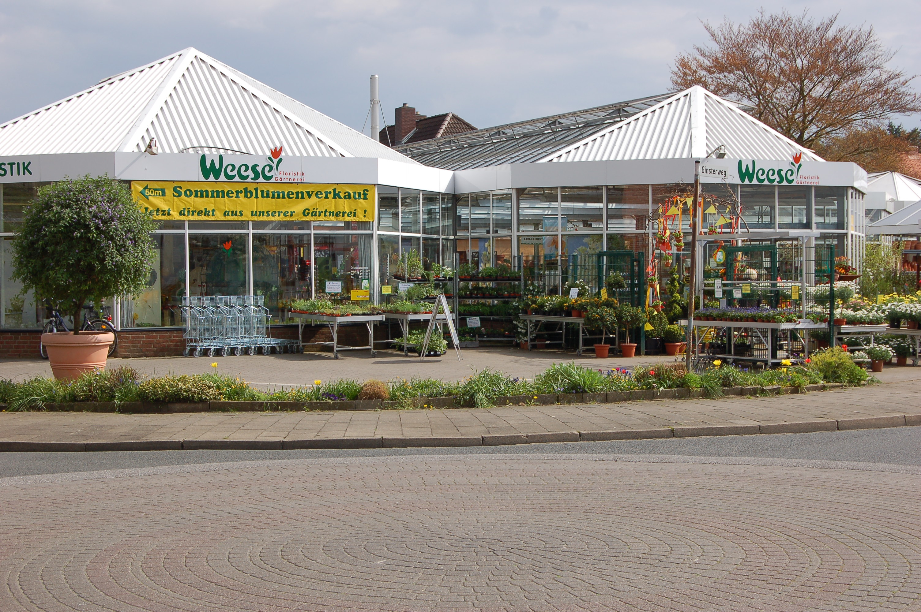 Blumen Weese - Floristik, Gärtnerei