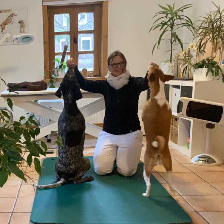 Tierphysiotherapie & Naturheilpraxis title image