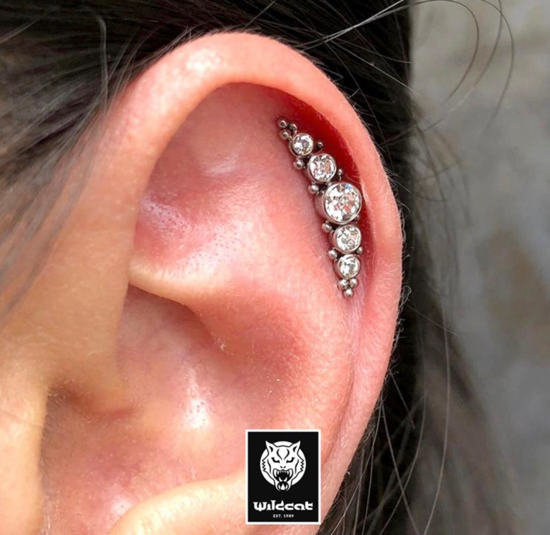 Wildcat Store Hamburg Tattoo&Piercing title image