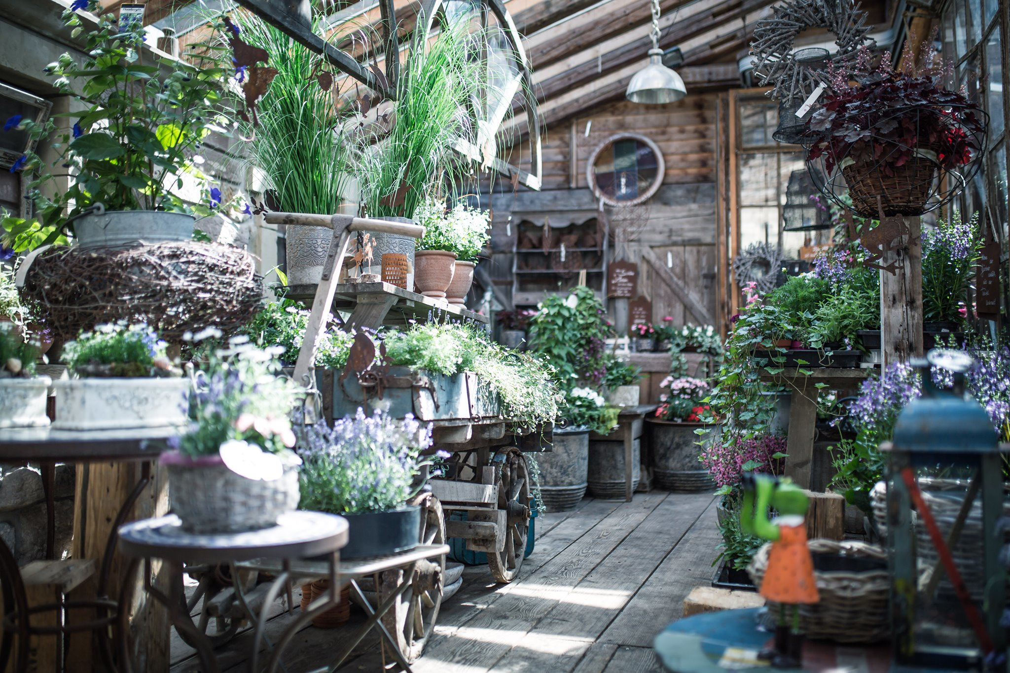 Helga´s Blumenlädle