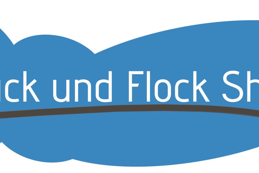 Druck & Flock Shop