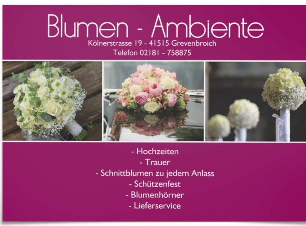 Blumen - Ambiente