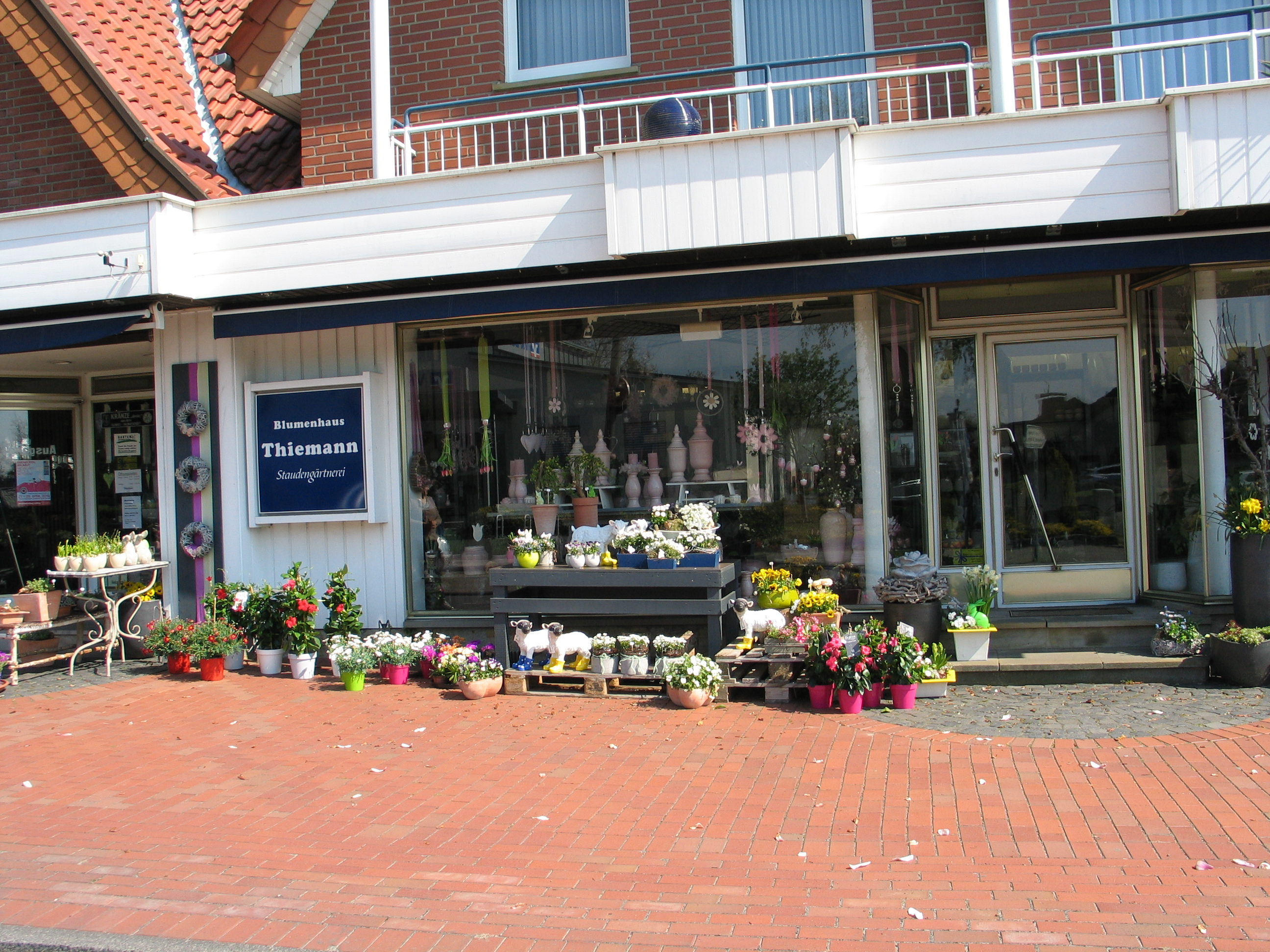 Blumenhaus Thiemann