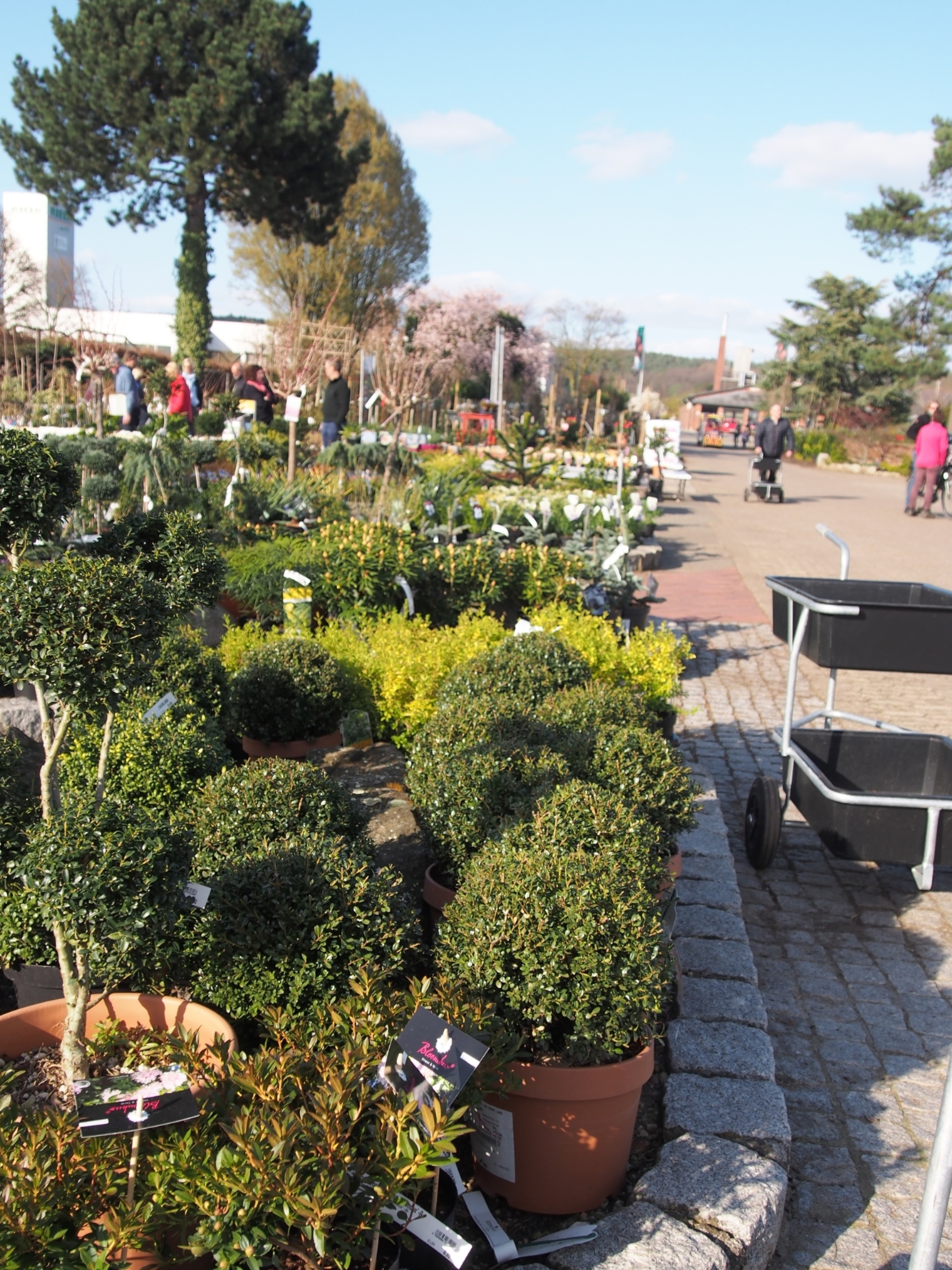 Artmeyer Gartenbaumschule