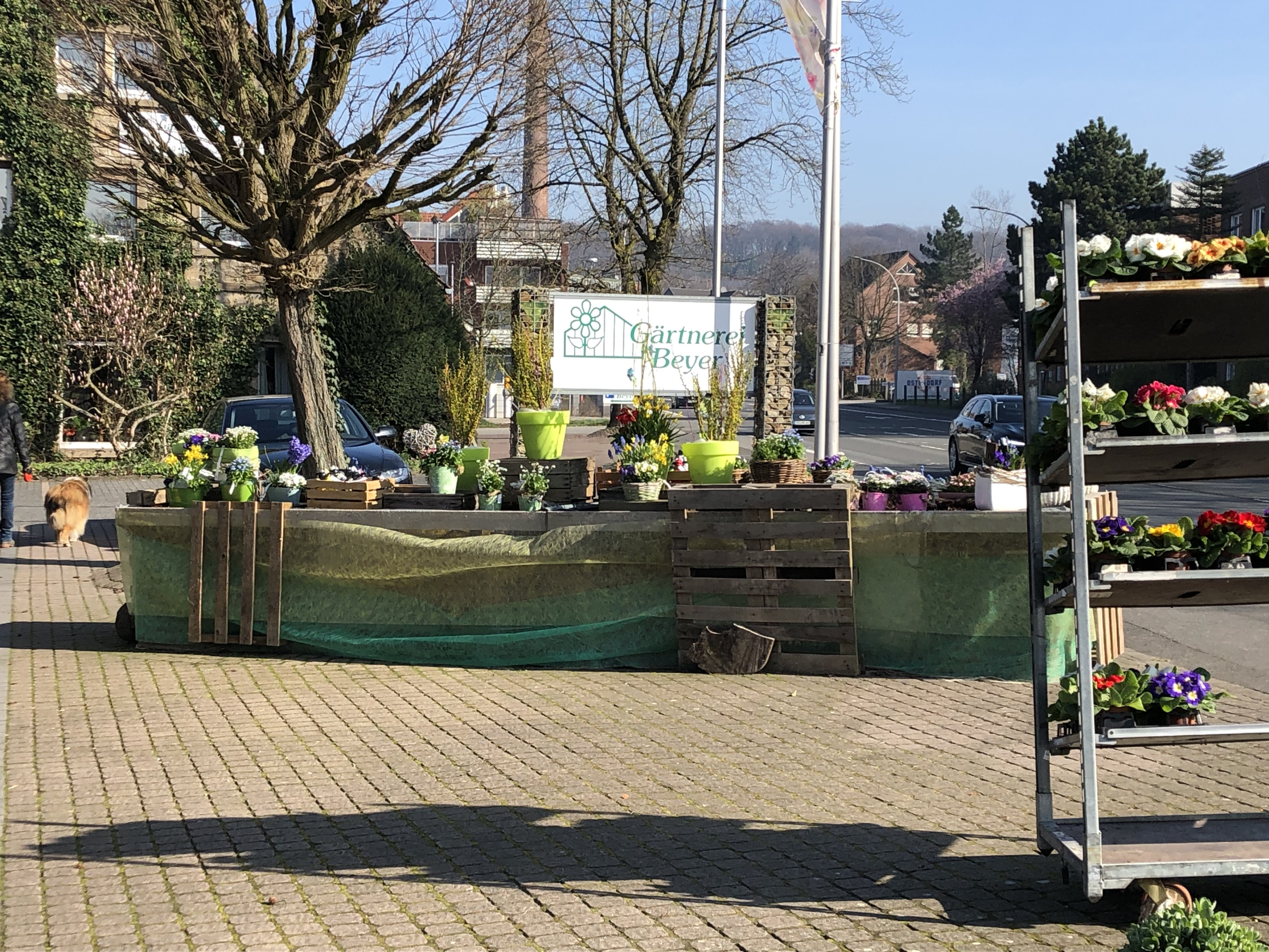 Gärtnerei Beyer