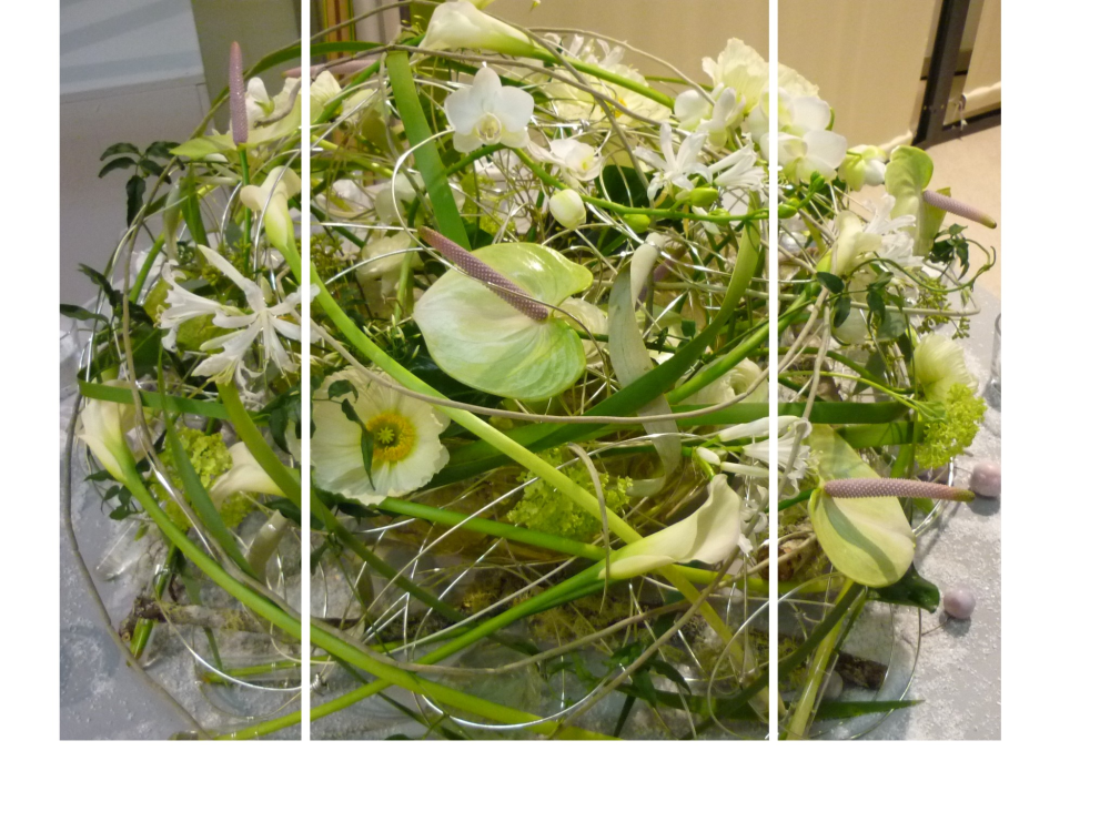 Blumen Doetkotte title image