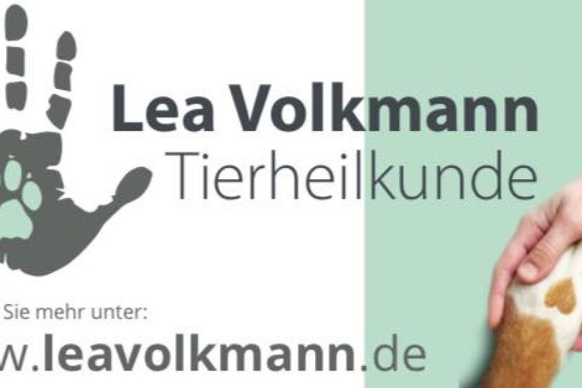 Tierheilkunde Lea Volkmann