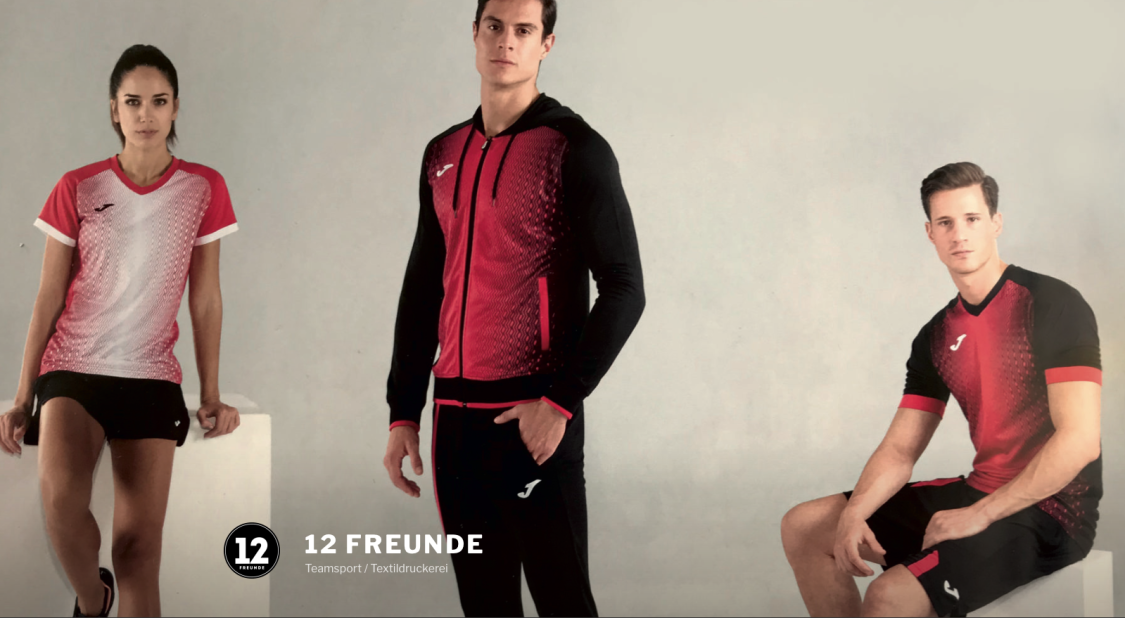 12 Freunde title image
