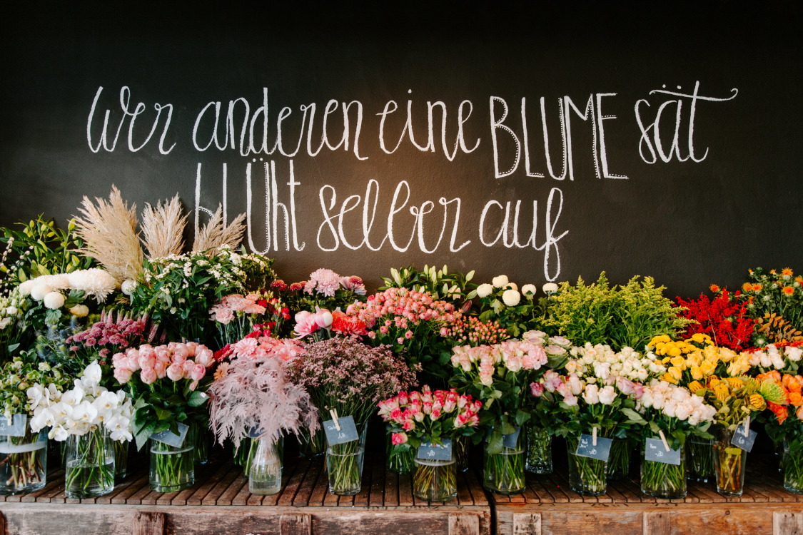 Blumen Stefan Peeters title image