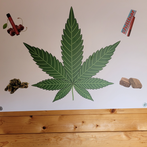 CBDShop & Dampftempel Minden logo