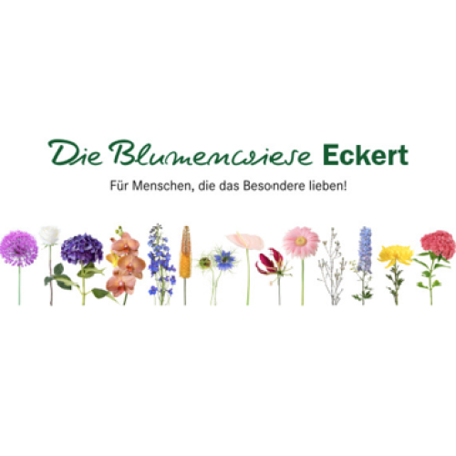 Blumenwiese Eckert logo