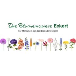 Blumenwiese Eckert