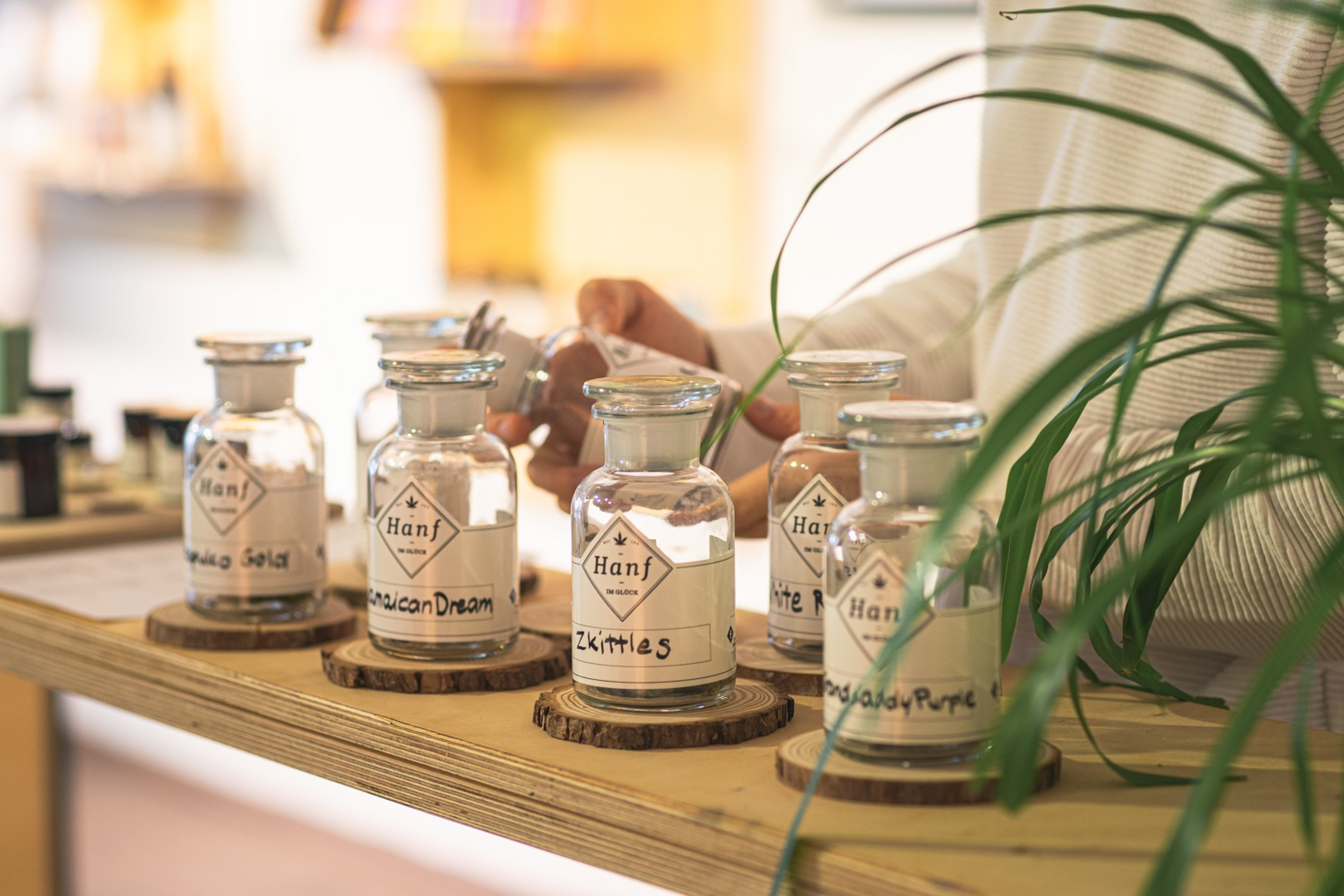 Hanfkontor Bayern in Regensburg