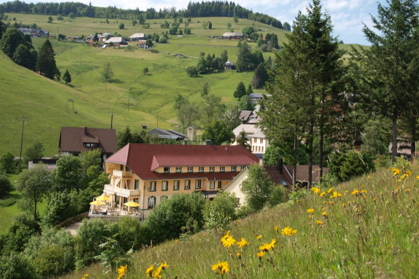 Naturparkhotel Grüner Baum