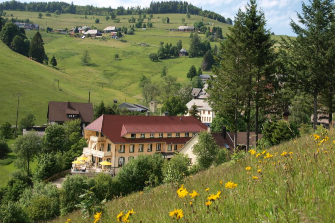 Naturparkhotel Grüner Baum title image