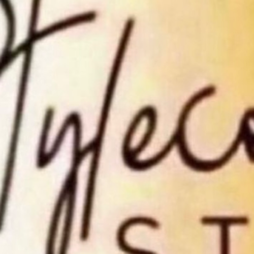 Styleconcept logo