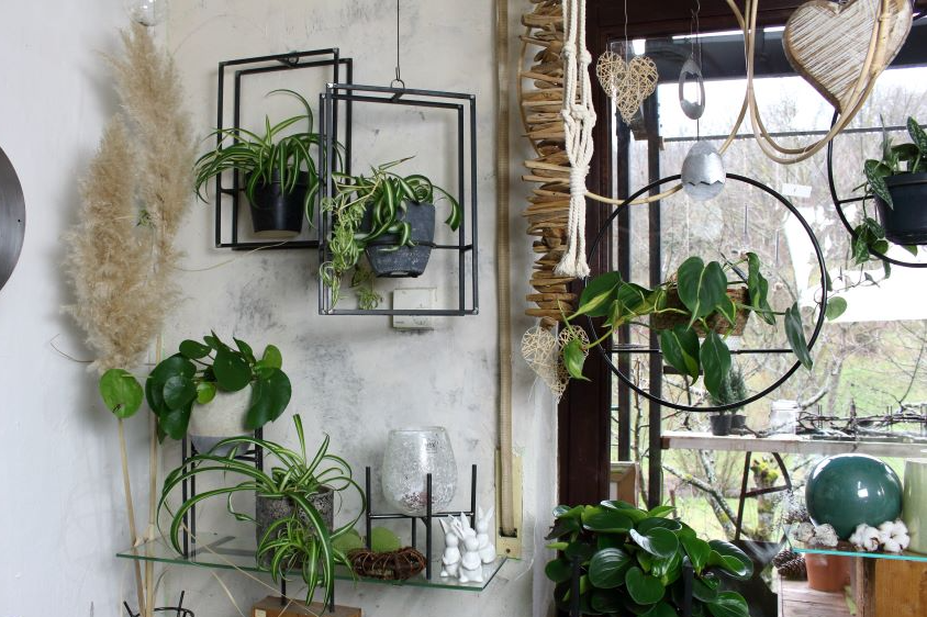 Sabine Merz, shopping