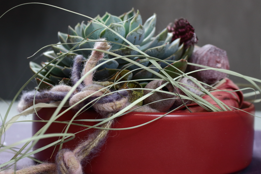 Sabine Merz, shopping