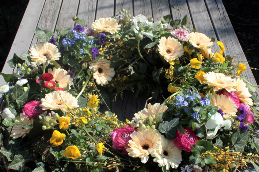 Sabine Merz, shopping