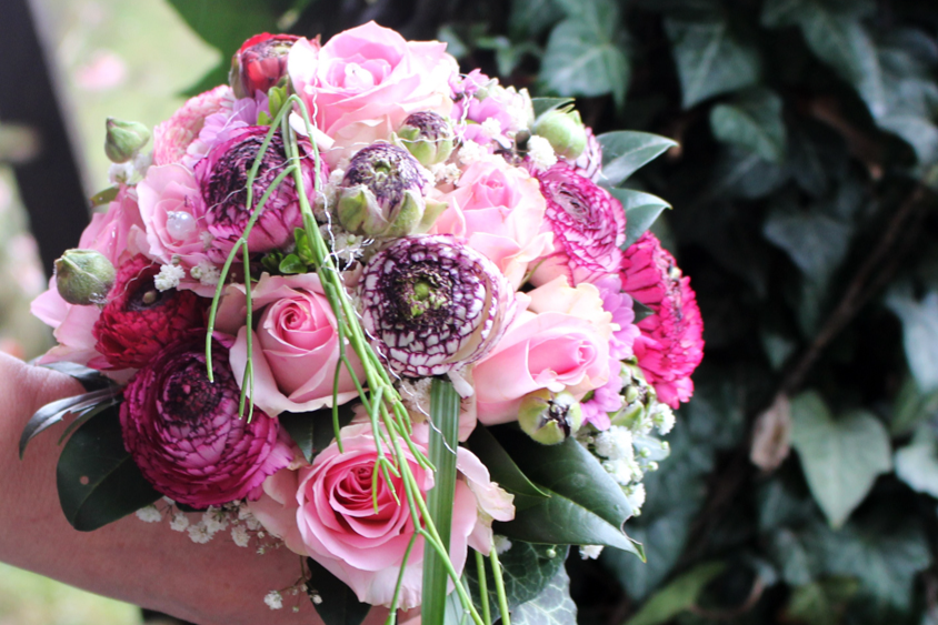 Sabine Merz, shopping