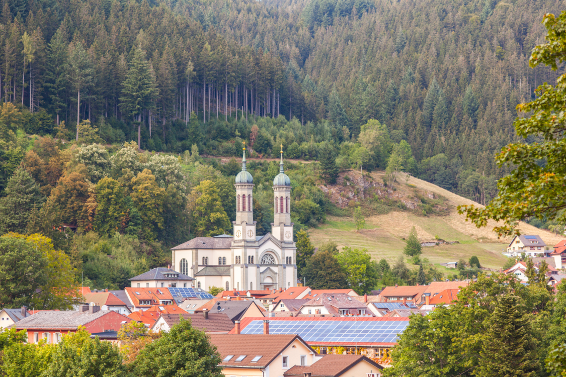 Hochschwarzwald Tourismus GmbH, Tourist-Information Bergwelt Todtnau title image
