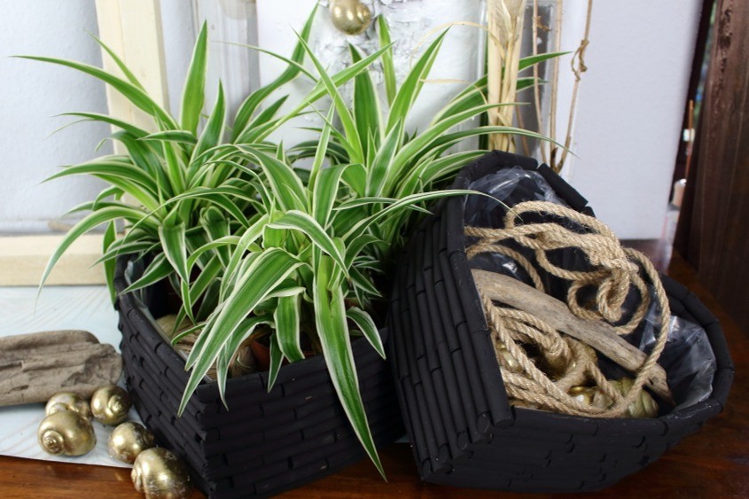 Sabine Merz, shopping