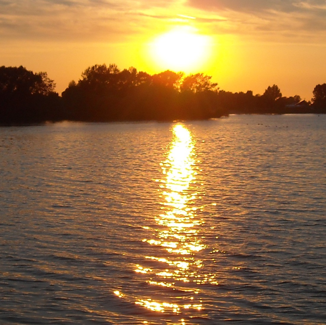 MS Altmühlsee - Schifffahrt