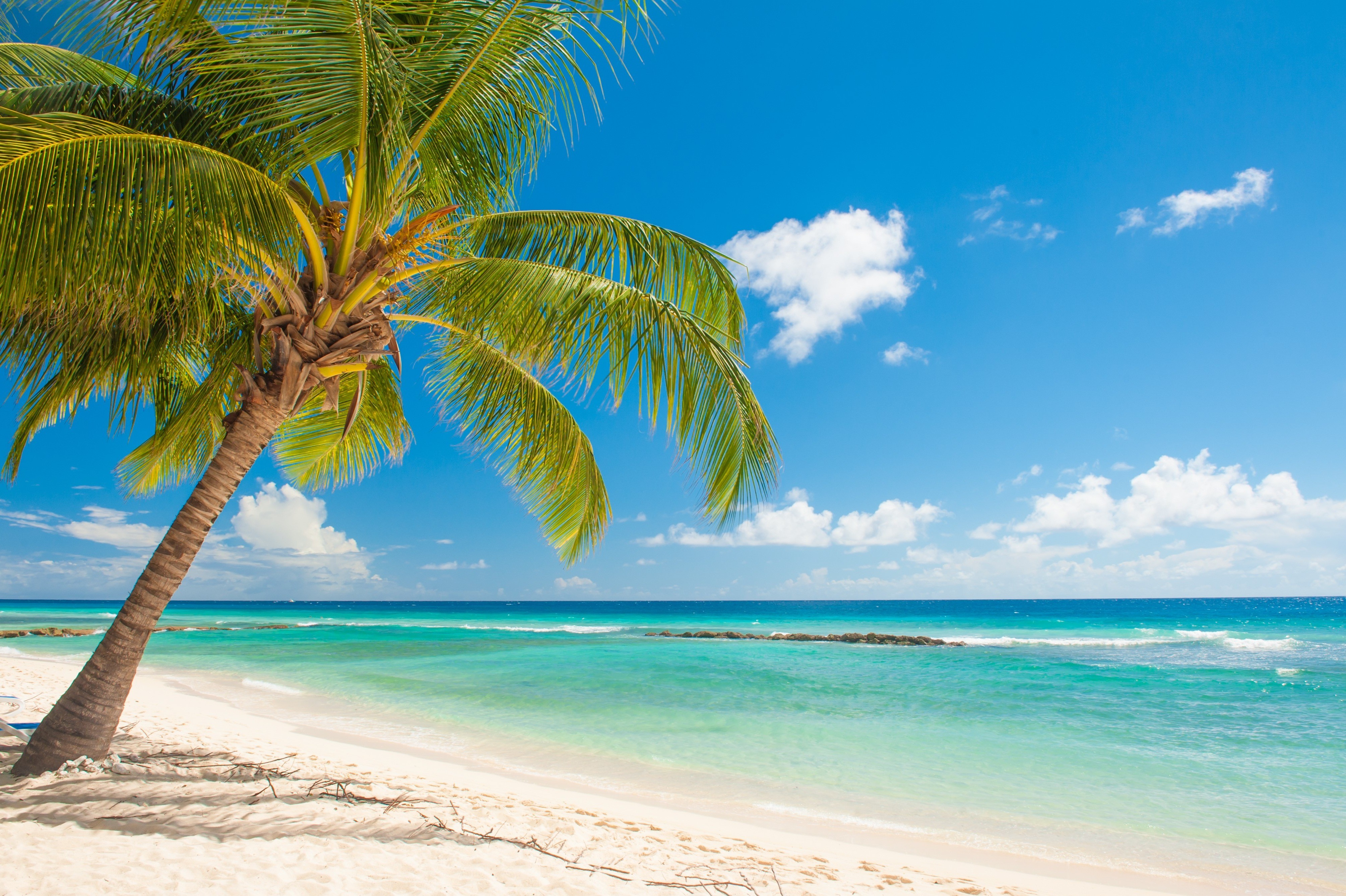 Massage- und Naturheilpraxis Angelika Fend