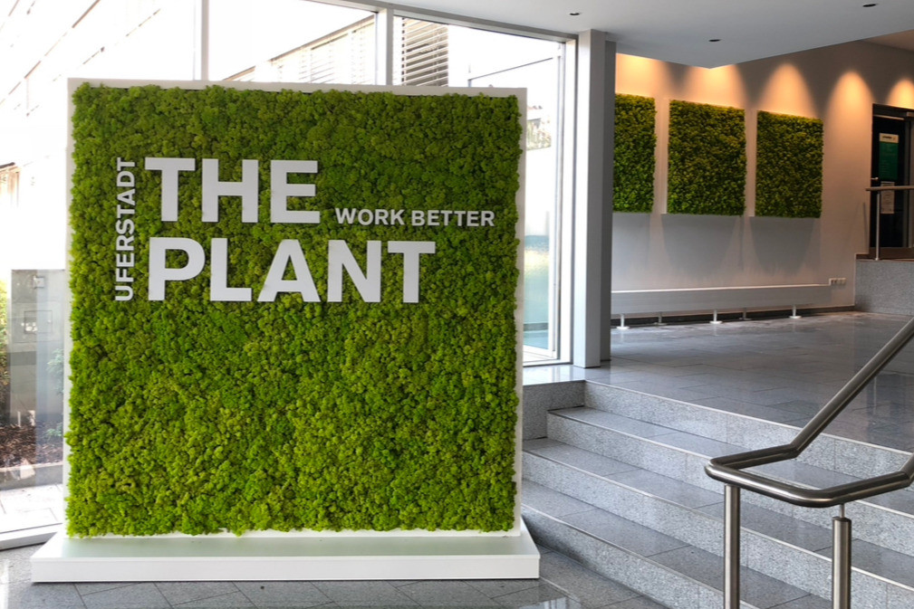 Pflanzenhaus Schöner