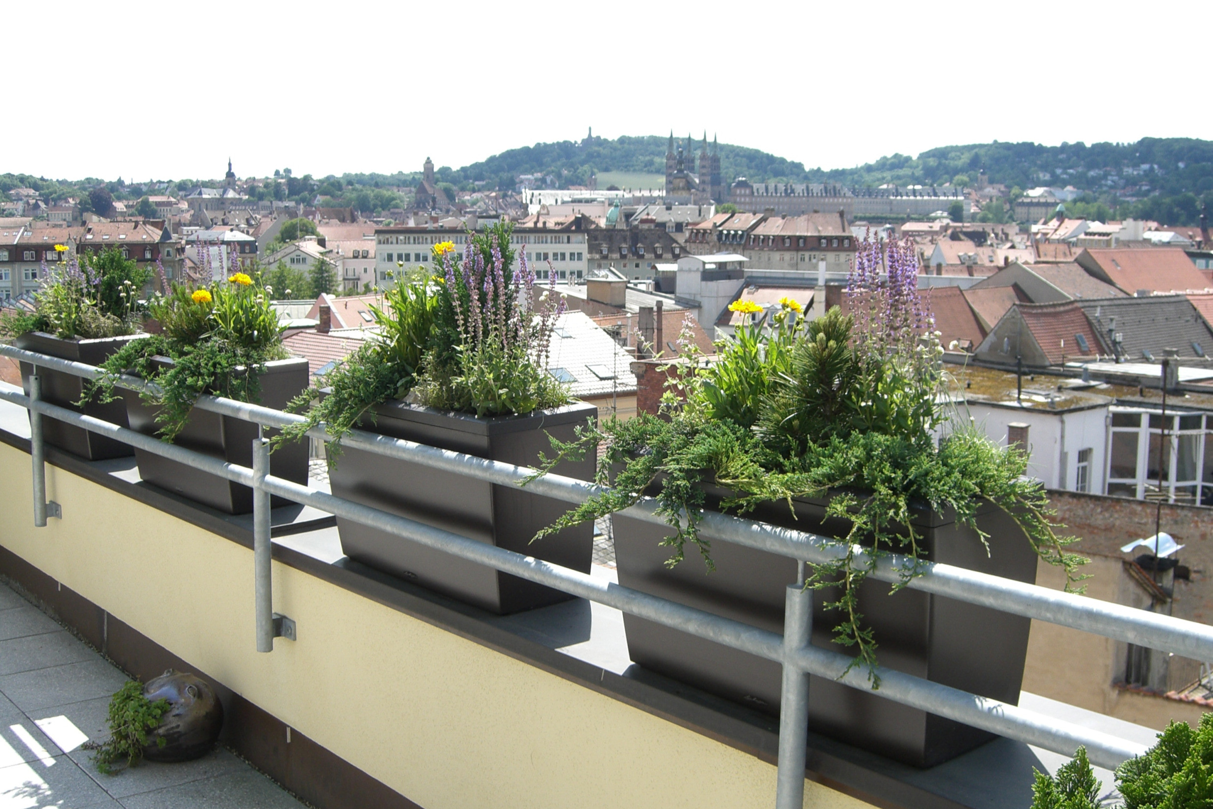 Pflanzenhaus Schöner