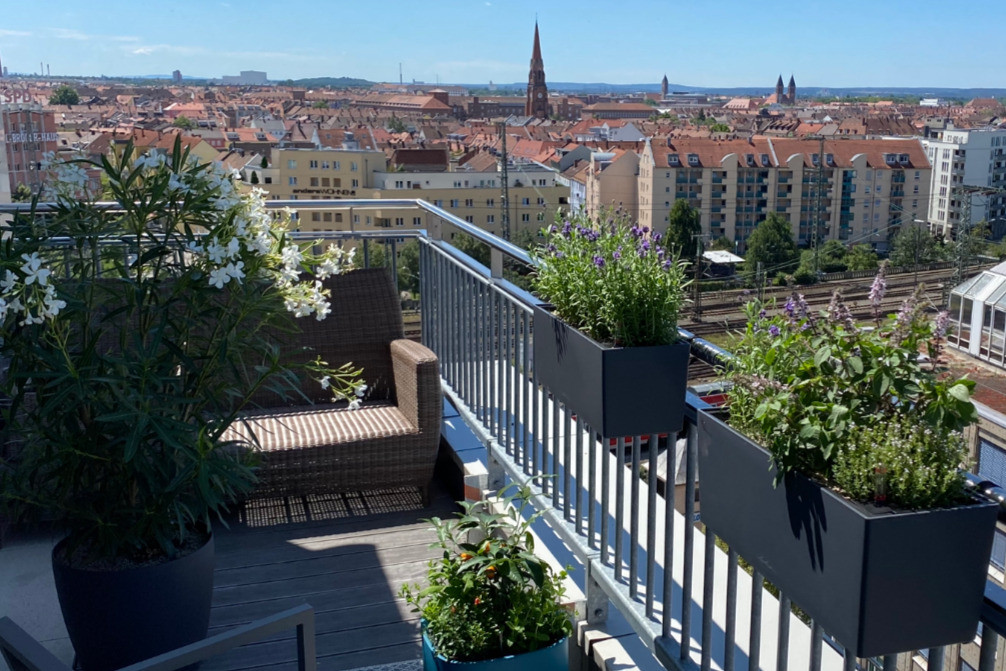 Pflanzenhaus Schöner