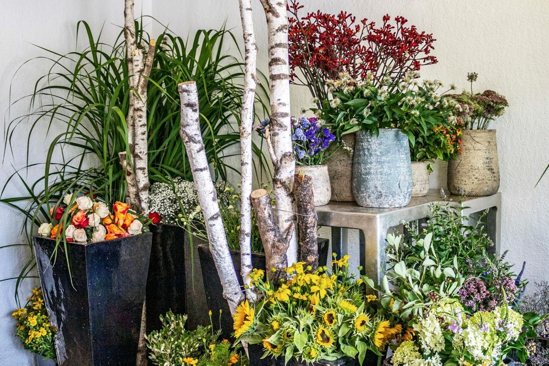 Blumen Schöner title image