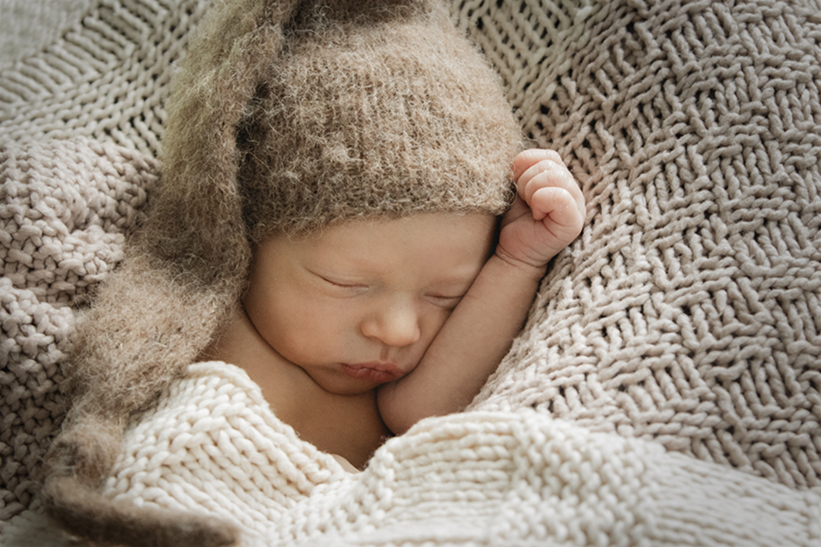 Brehmer Manufaktur für Fotografie, Video & Audio