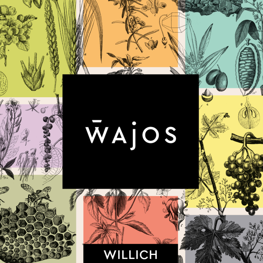 Wajos Willich