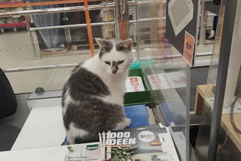 OBI GmbH & Co. Deutschland KG Filiale Gunzenhausen