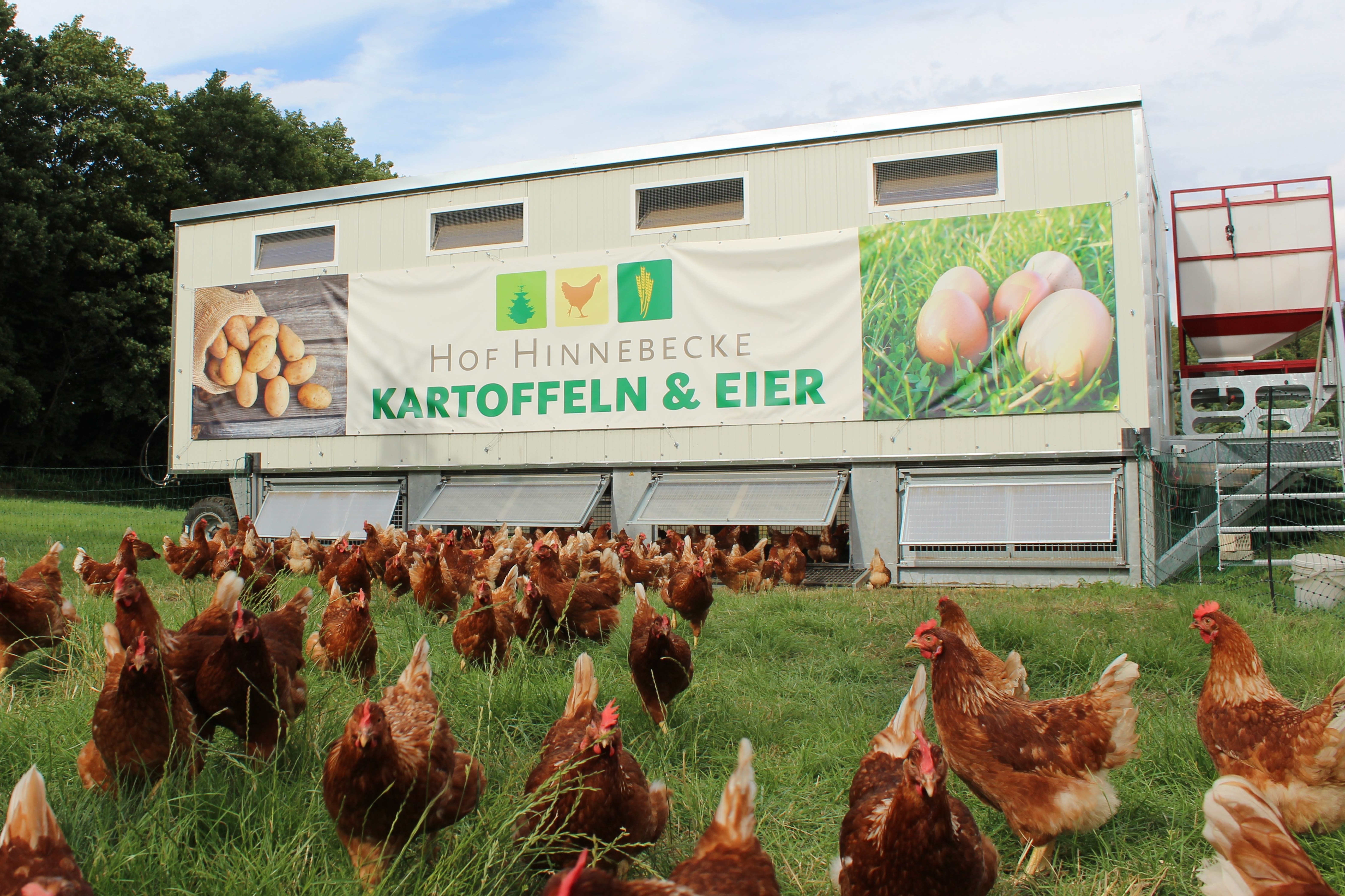 Hof Hinnebecke- Eier & Kartoffeln