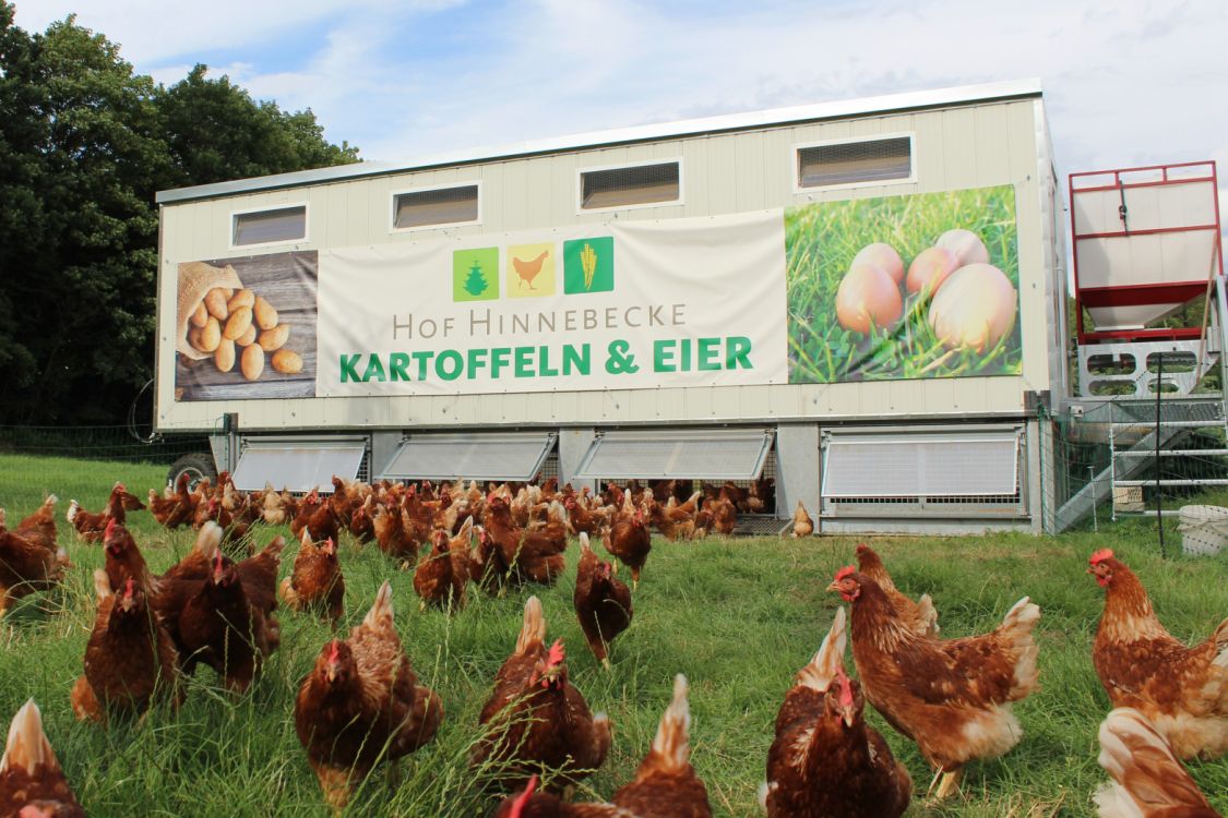 Hof Hinnebecke- Eier & Kartoffeln title image