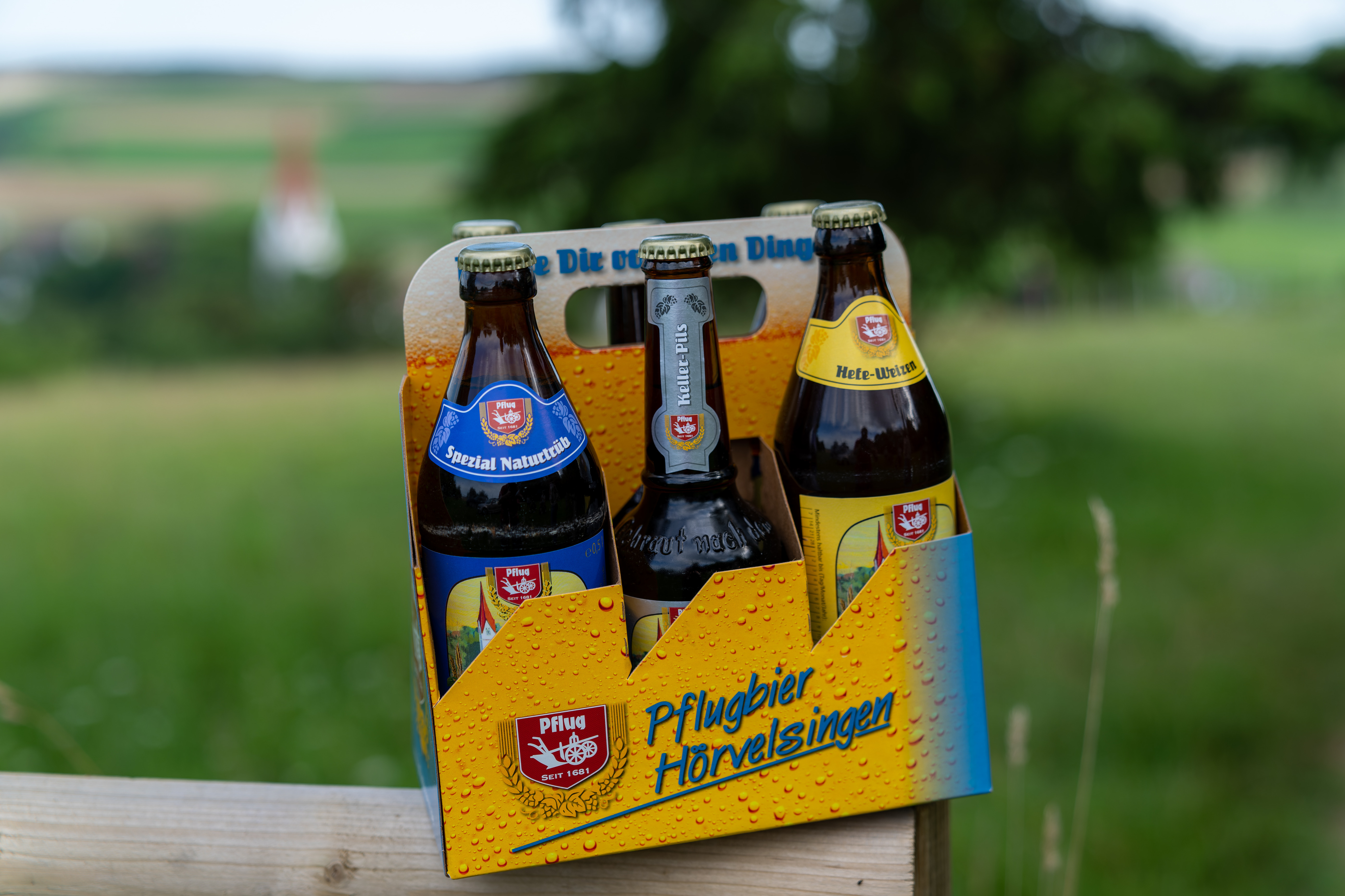 Pflugbrauerei Hörvelsingen