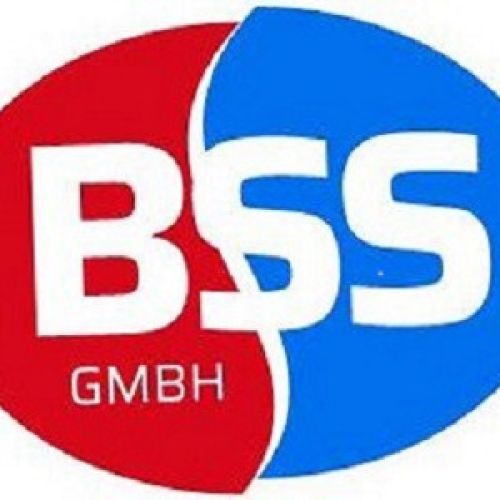 BSS logo