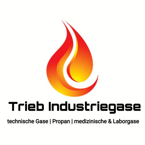Flüssiggasdepot logo