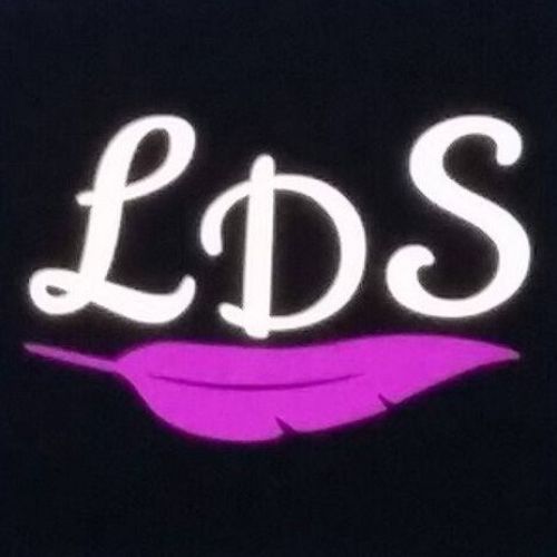 LDS-Kassel logo