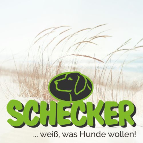 Schecker logo