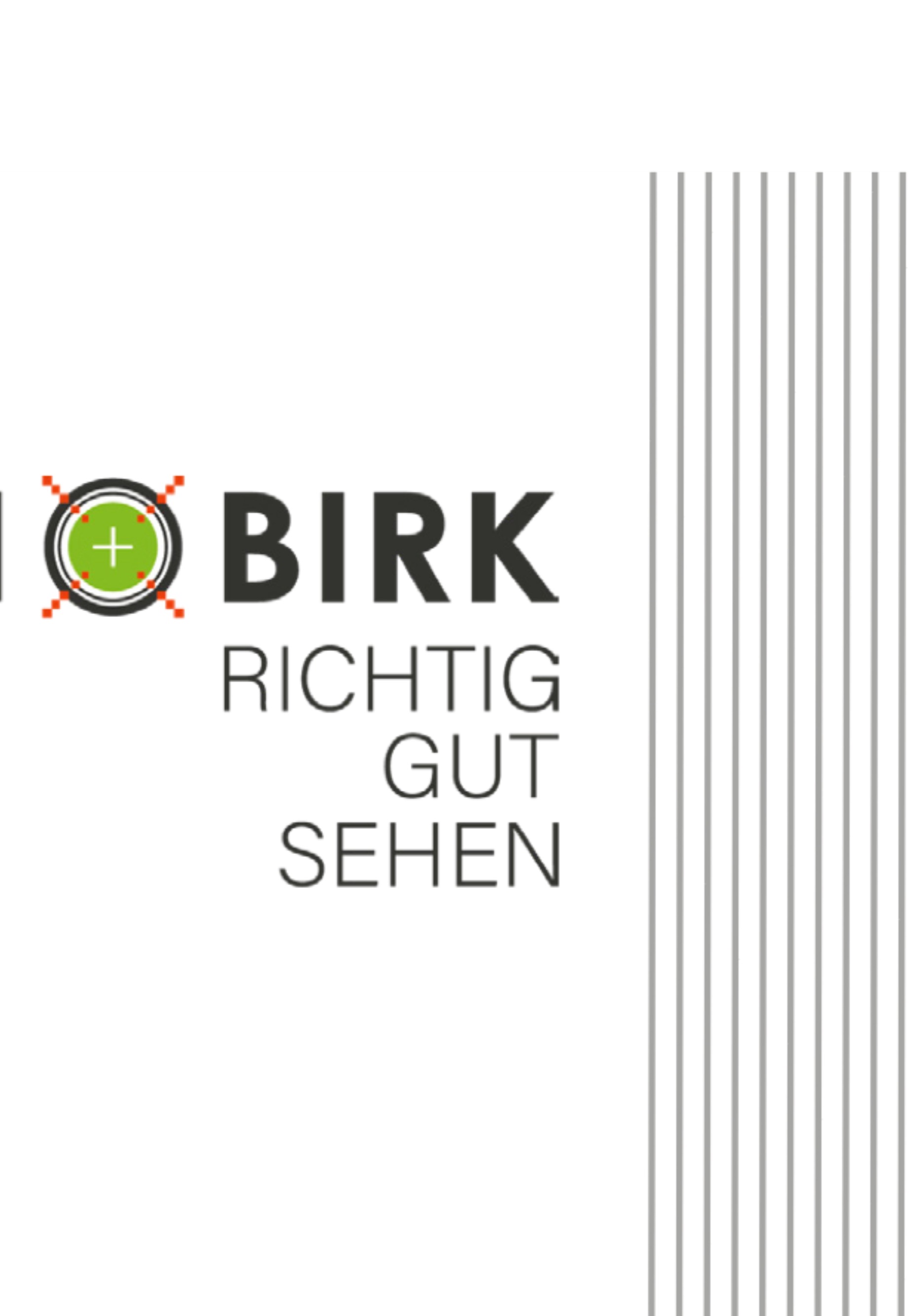 Brillen Birk